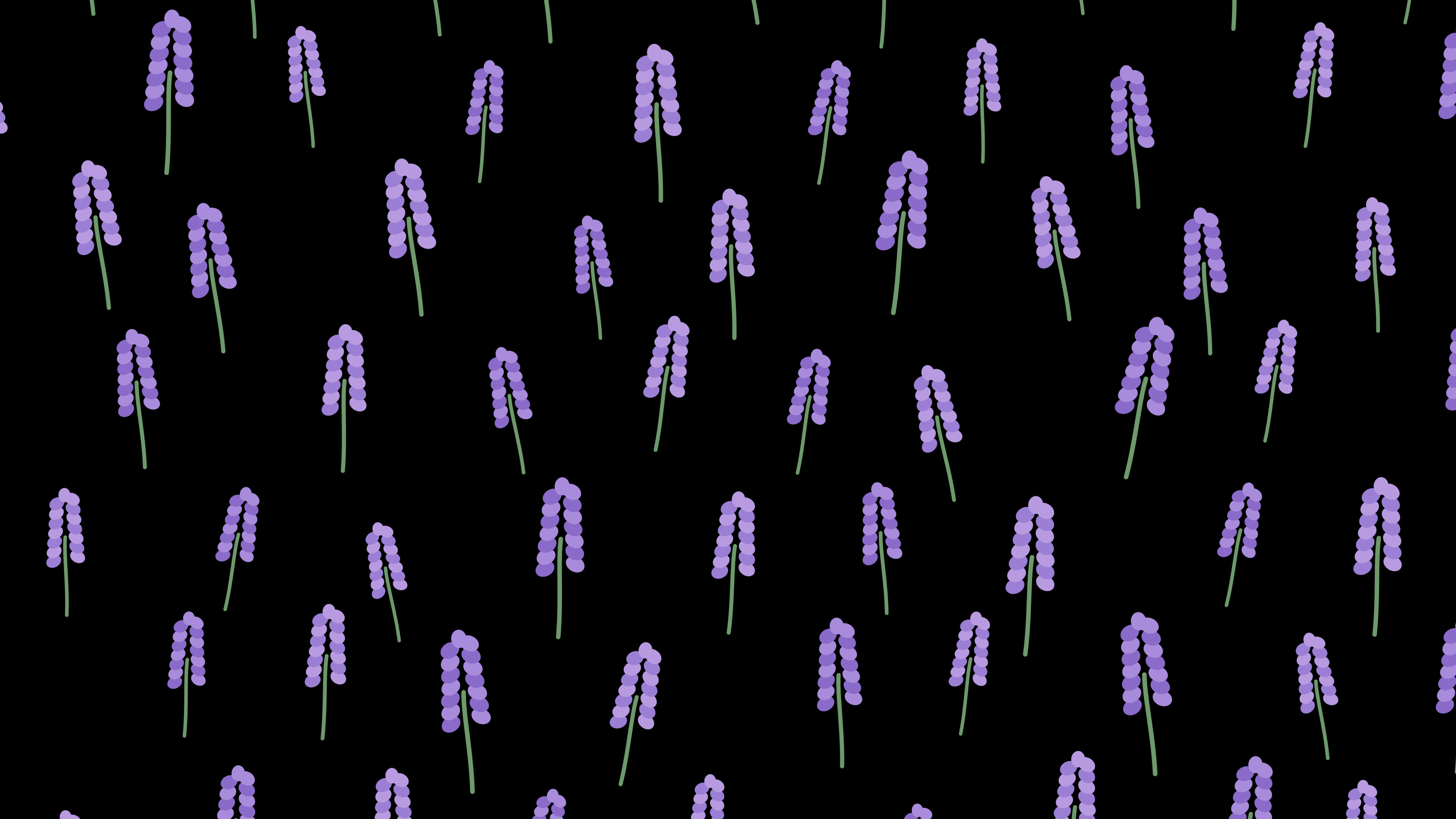 Black Lavender Sprig Pattern desktop wallpaper in 4K