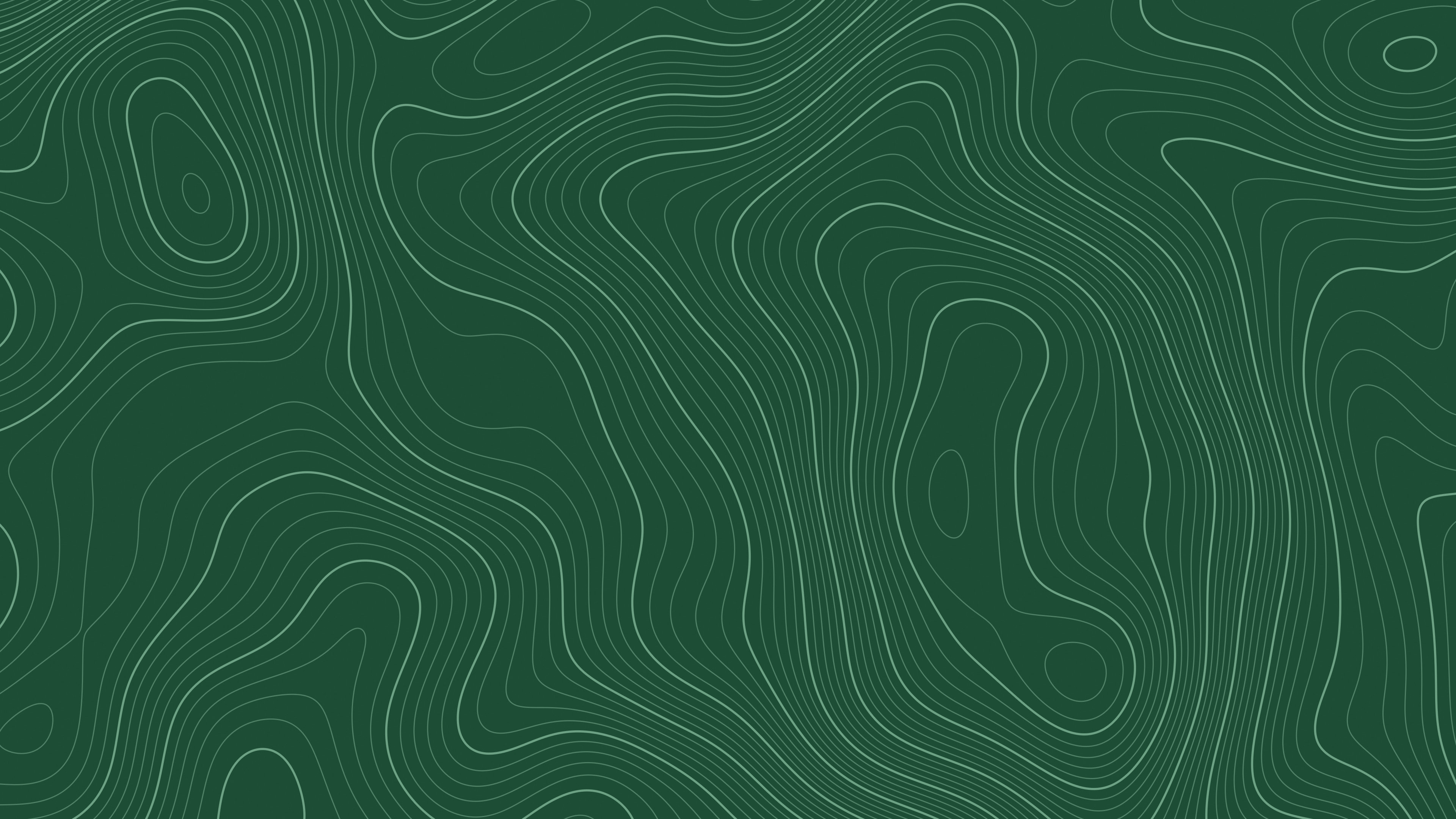 Dark Green Topographic Line desktop wallpaper in 4K