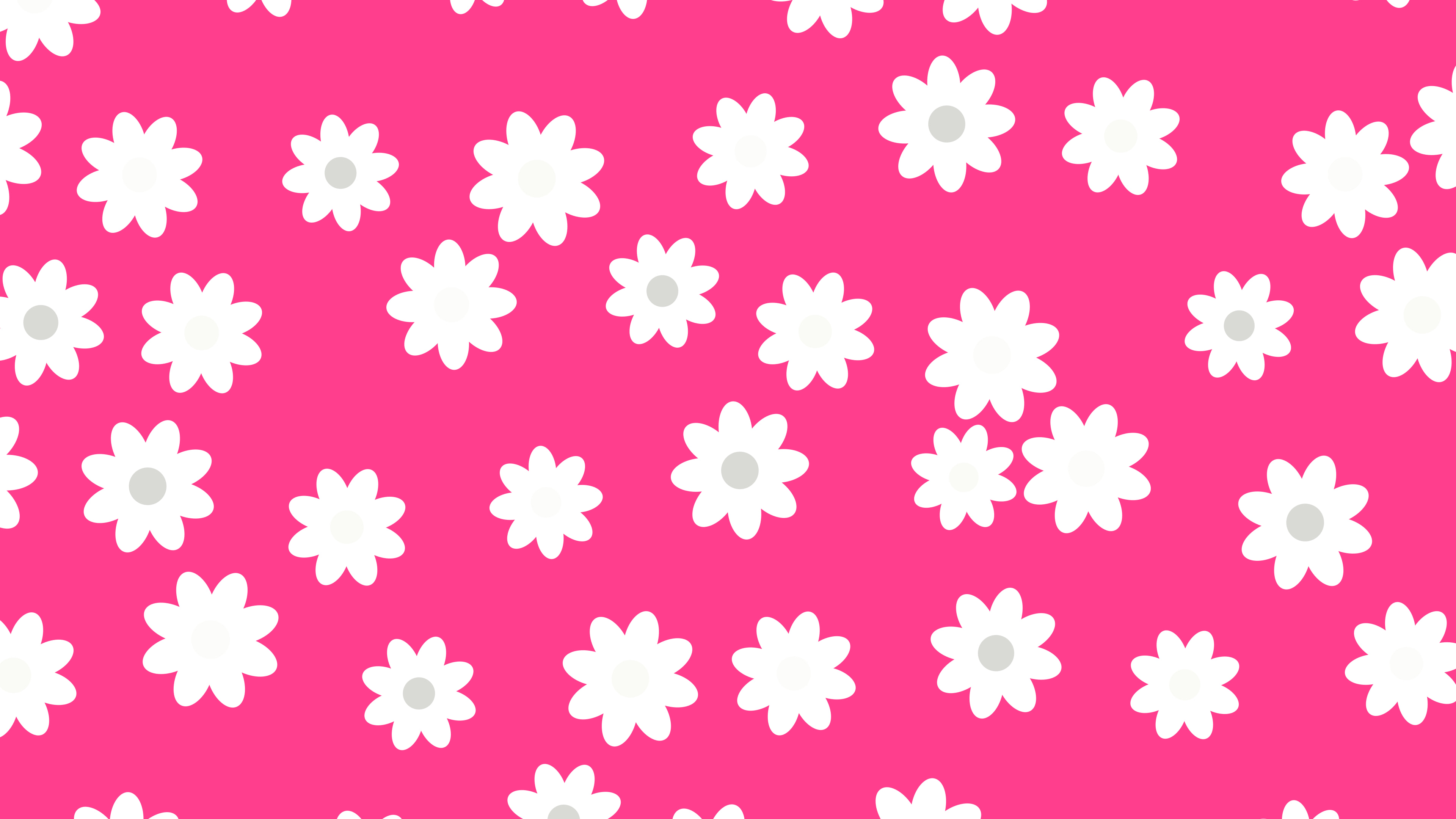 Hot Pink and White Daisy Flower Pattern desktop wallpaper in 4K