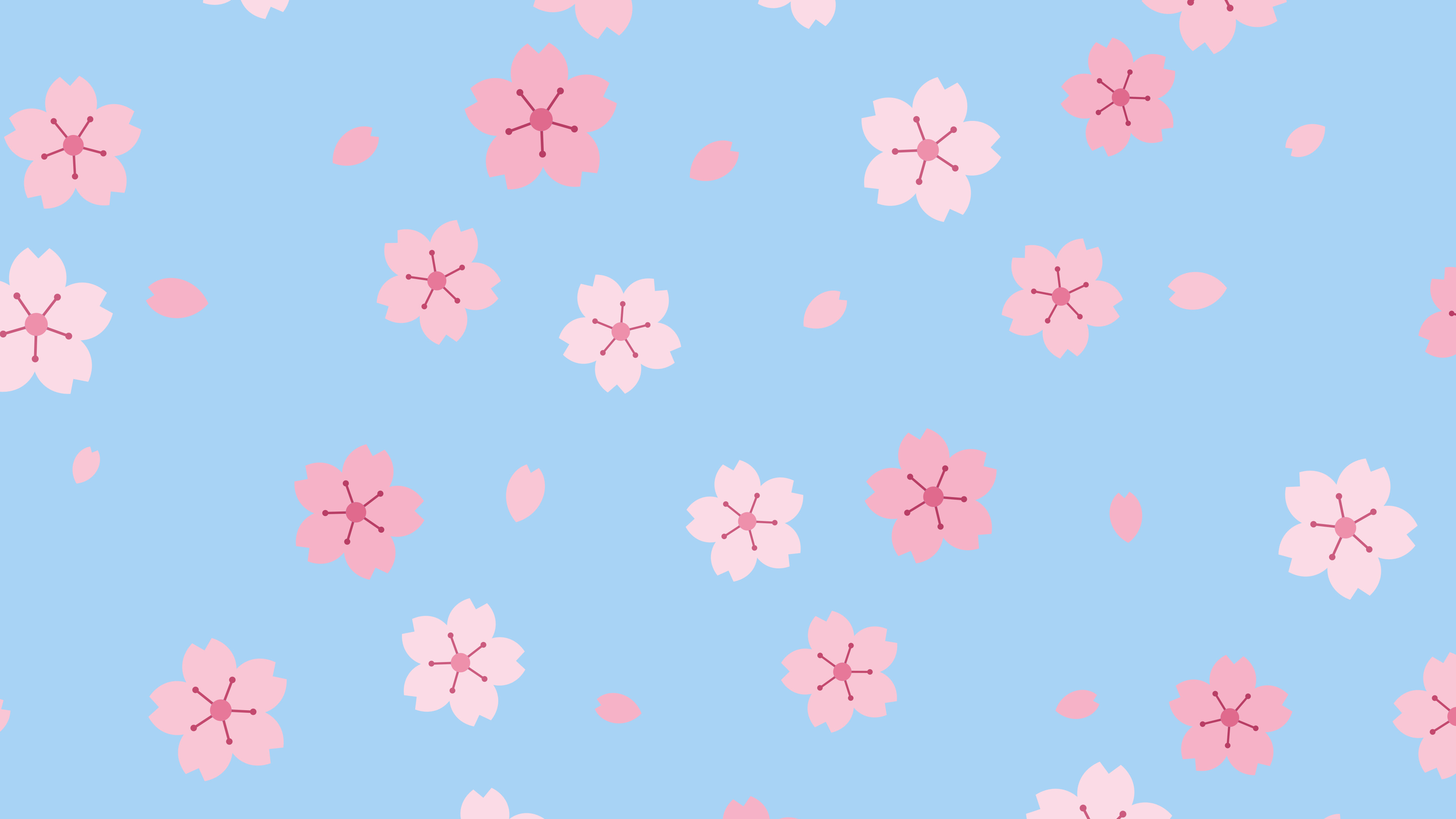 Light Blue Cherry Blossom Pattern desktop wallpaper in 4K
