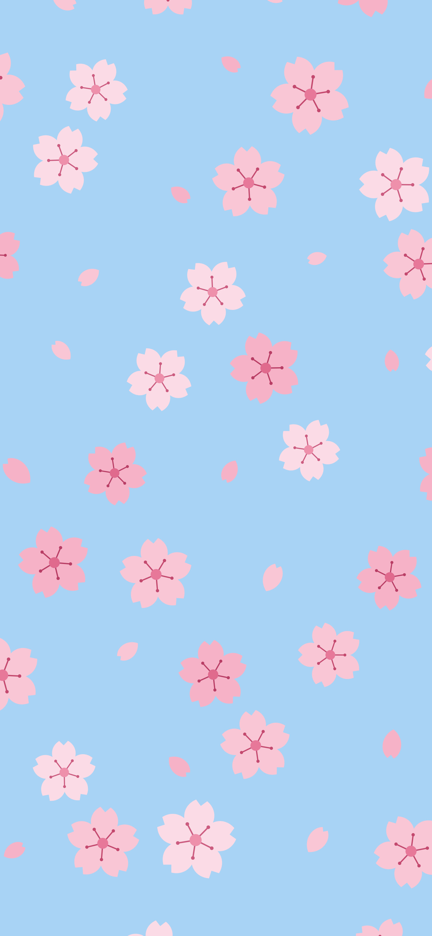 Light Blue Cherry Blossom Pattern wallpaper for iPhone and Android