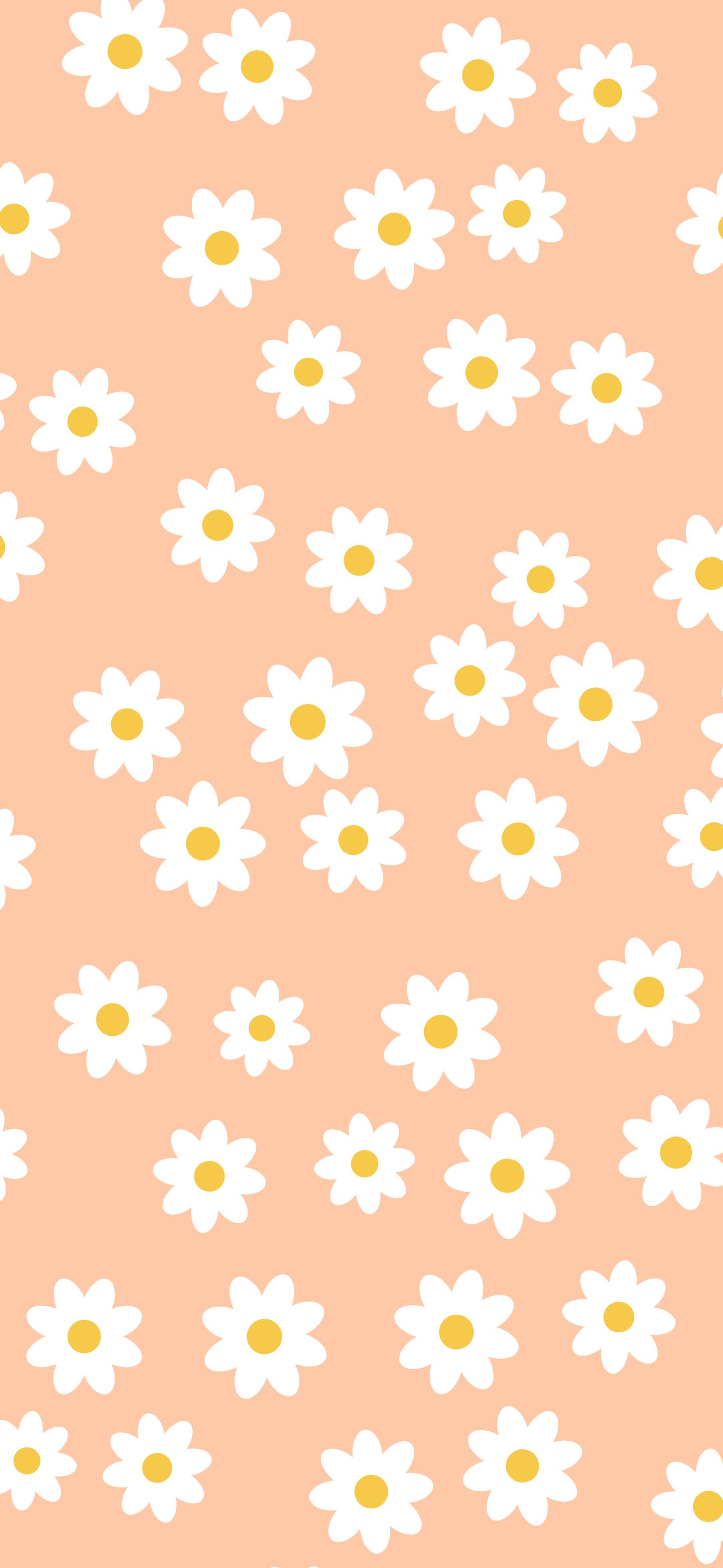 Peach Daisy Flower Pattern wallpaper for iPhone and Android