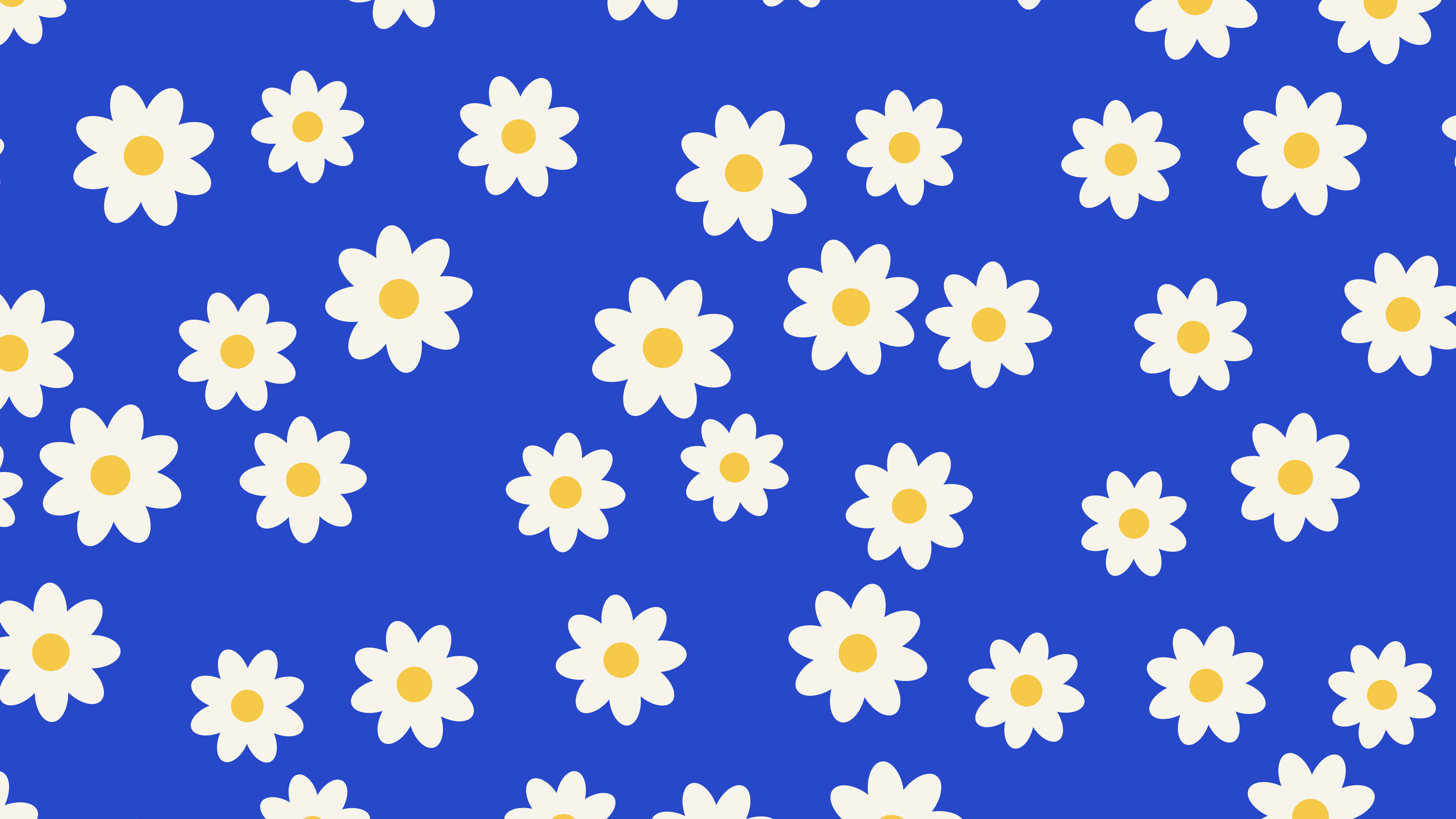 Royal Blue Daisy Flower Pattern desktop wallpaper in 4K