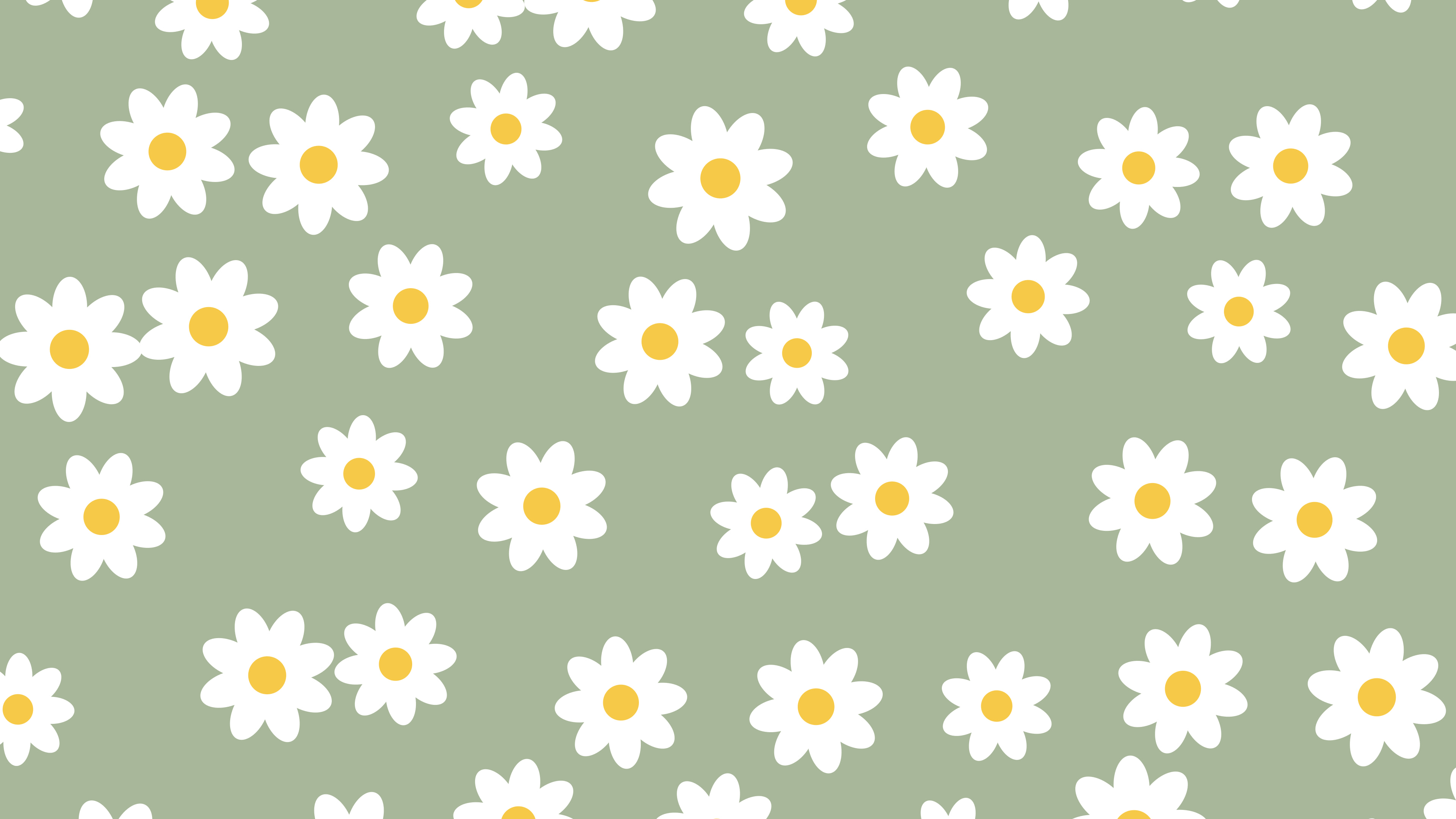 Sage Green Daisy Flower Pattern desktop wallpaper in 4K