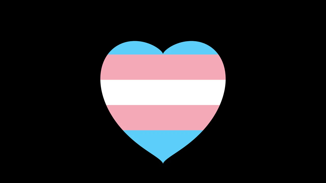 Trans Pride Heart desktop wallpaper in 4K